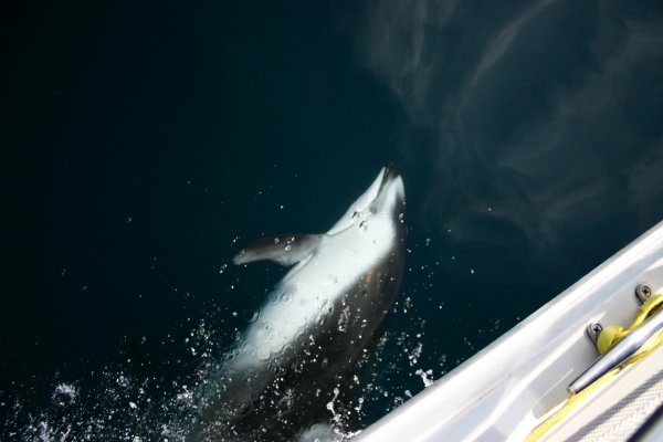 Look to me in my eyeball.